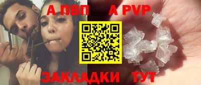 a pvp Кингисепп